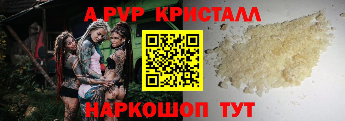Alfa_PVP СК Тельмана