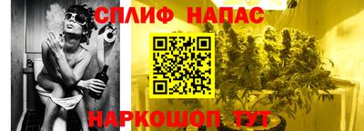 гидра Будённовск