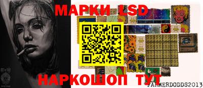 гидра Будённовск