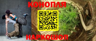 крисы Бузулук