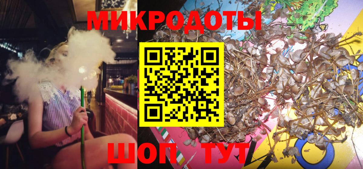 Галлюциногенные грибы Psilocybine cubensis Тельмана